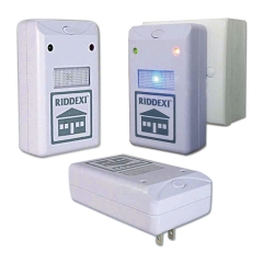 私とゴキブリの365日間戦争