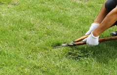 夏場の厄介者 雑草を駆逐せよ