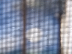 網戸の張り替えは夏前に!