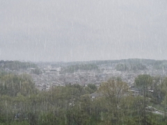 自然災害鑑定士に聞いてみました「豪雨で自宅が浸水被害 修理費用はどうすればいいの?」