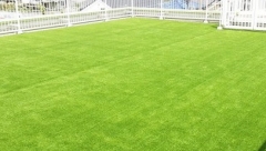 HAPPY PET PROJECT~20万円で作った屋上ドッグラン&ウッドデッキ~