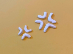 突き出し) 賃貸経営トラブル相談室~ 娘のためにと空けていた部屋にいつの間にかハトが!~