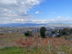 真説賃貸業界史　第52回「福岡県うきは市を代表する3つの地主一族」