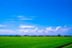 真説賃貸業界史 第53回「静岡県の水田地帯を買い進めた松永家」