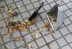 賃貸トラブル相談室~地元で一番の老舗はいい加減な管理会社だった!~